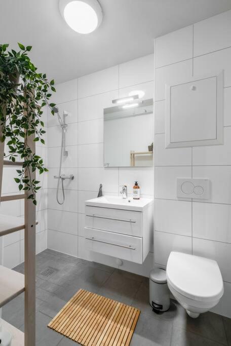 Hidden Gem Near The Old Town Bridge, 40M² Apt. Тронгейм Екстер'єр фото